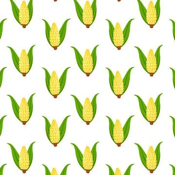 Seamless vector pattern with corn cob plant isolated on white background. Car Stock Illustration