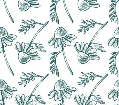 Seamless vector pattern with daisies on stems with leaves. Hand-drawn line .. Stock Illustration