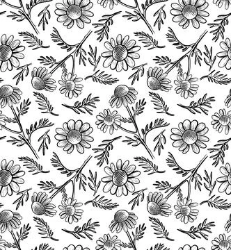 Seamless vector pattern with daisy flowers on a black and white background... Stock Illustration