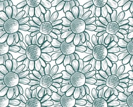 Seamless vector pattern with daisy flowers. Monochrome botanical illustrati.. Illustrazione stock