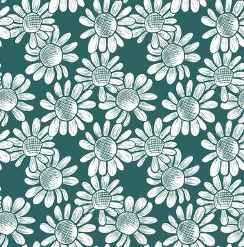 Seamless vector pattern with daisy flowers on a turquoise background. Monoc.. Stock Illustration