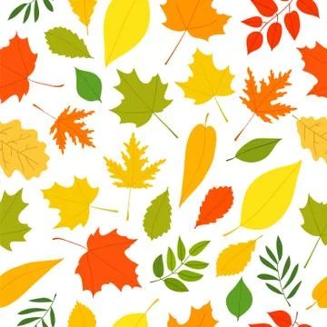 Seamless vector pattern of different autumn leaves Stock Illustration