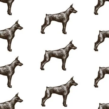 Seamless vector pattern with dogs. Vector illustration of doberman. Hand drawn Stock Illustration