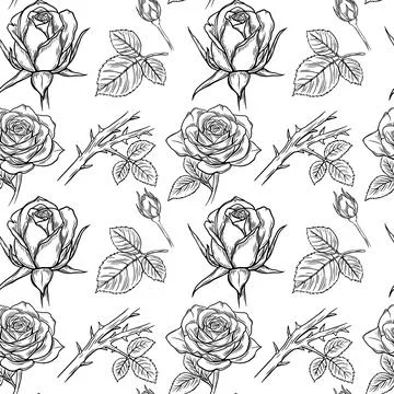 Seamless vector pattern, engraving, line drawing of rose by hand, bud. Illustrazione stock
