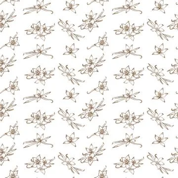 Seamless vector pattern featuring vanilla beans, aromatic herbs, and delicate Stock Illustration