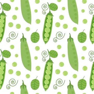 Seamless vector pattern with fresh sweet organic green pea with leaves. Stock Illustration