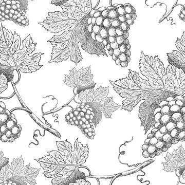 Seamless vector pattern with grapes. Black and white engraving style drawing - Stock Illustration