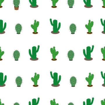 Seamless vector pattern. Green cactus. Isolated on a white background. Vector Illustrazione stock
