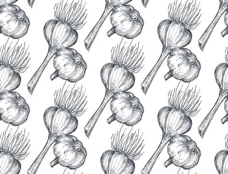 Seamless vector pattern with hand drawn sketched garlic. Stock Illustration