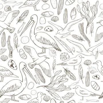 Seamless vector pattern with hand drawn seagulls and pelicans. 스톡 일러스트