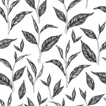 Seamless vector pattern with hand drawn tea leaves and branches isolated on w Stock Illustration