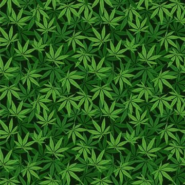 Seamless vector pattern of hand drawn marijuana leaves Stock Illustration