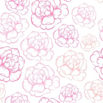 Seamless vector pattern, hand drawn outline pink Peony flowers on white bac.. Illustrazione stock