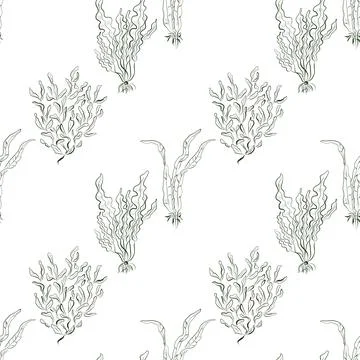 Seamless vector pattern with hand-drawn seaweed and kelp in green line art Stock Illustration