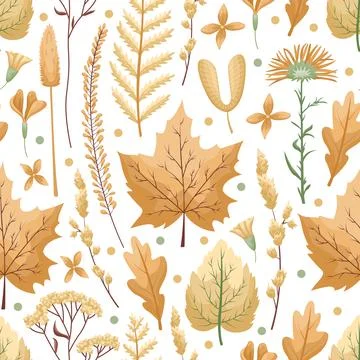 Seamless vector pattern with herbarium leaves and flowers on a white backgrou Stock Illustration