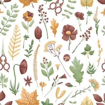 Seamless vector pattern with herbarium leaves and flowers on a white backgrou Stock Illustration