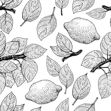 Seamless vector Pattern with Lemon Leaves Stock Illustration