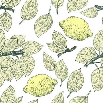 Seamless vector Pattern with Lemon Leaves Stock Illustration