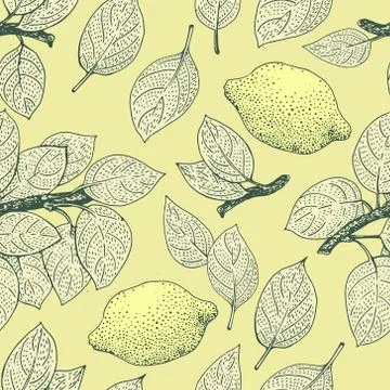 Seamless vector Pattern with Lemon Leaves 스톡 일러스트