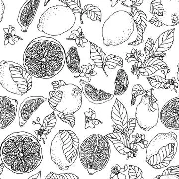Seamless vector pattern with lemons in graphic Stock Illustration