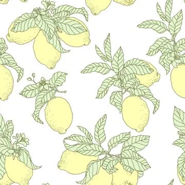 Seamless vector pattern with lemons in graphic Stock Illustration