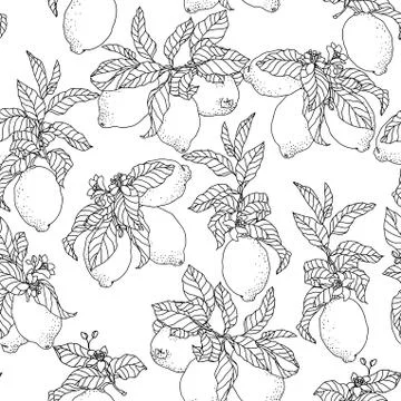 Seamless vector pattern with lemons in graphic Stock-Illustration