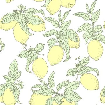 Seamless vector pattern with lemons in graphic Stock Illustration