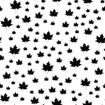 Seamless vector pattern of maple leaves. On a white background. 스톡 일러스트