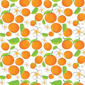 Seamless Vector Pattern of Oranges with Green Leaves and White Flowers Stock Illustration