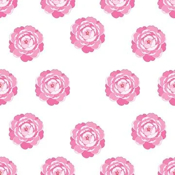 Seamless vector pattern with pink roses on a white background. Illustrazione stock