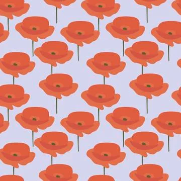 Seamless vector pattern with poppies. Hand drawn Red flowers on white backgro Stock Illustration