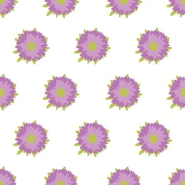 Seamless Vector Pattern with Purple Aster Flowers. Illustrazione stock