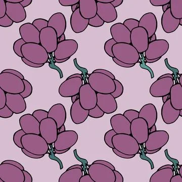 Seamless vector pattern of purple grapes on pink background border design. The 스톡 일러스트