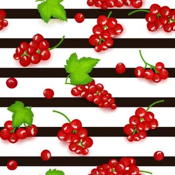Seamless vector pattern of red currant fruit. Stock Illustration