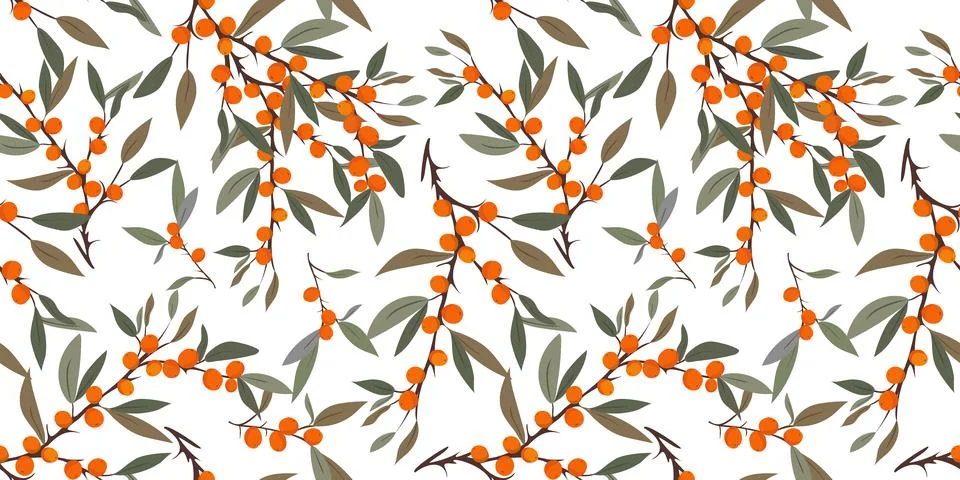 Seamless vector pattern sea buckthorn Stock Illustration
