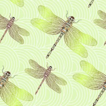 Seamless vector pattern with shiny dragonfly. Stock Illustration