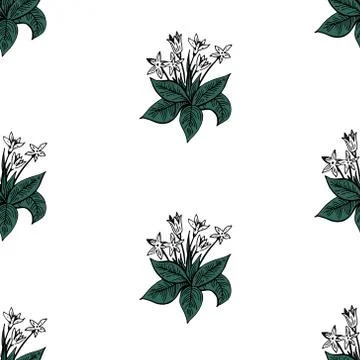 Seamless vector pattern with snowdrop flowers Illustrazione stock