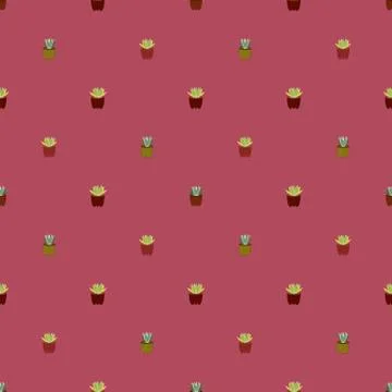 Seamless vector pattern of succulent and cactus. illustration for fabric, tex Stock Illustration