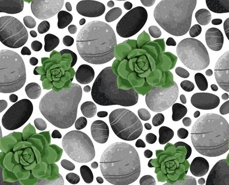 Seamless vector pattern succulents and stones. Illustrazione stock