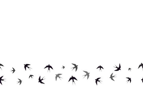 Seamless vector pattern. Swallows. Located below. Vector graphics. Stock Illustration
