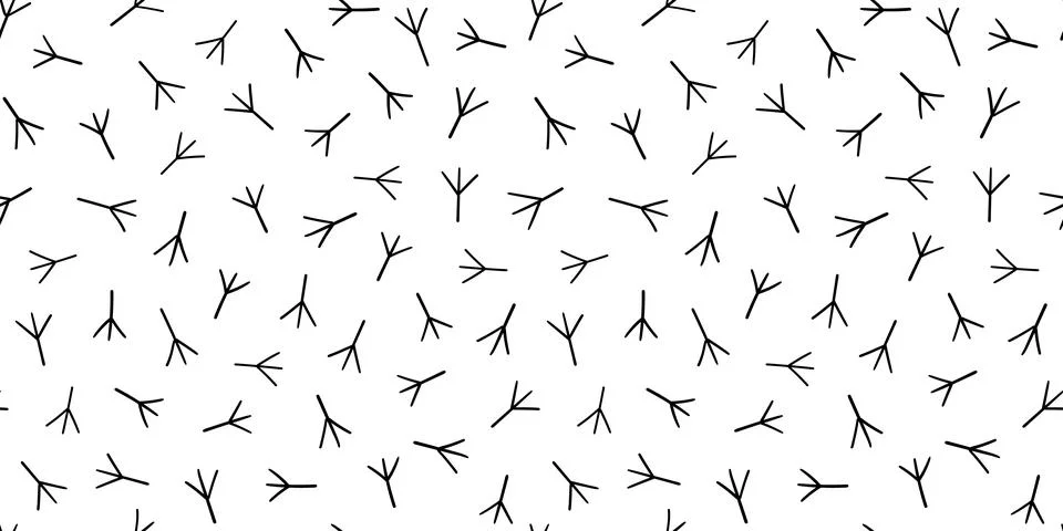 Seamless vector pattern trace of birds . Hand drawn chicken footprints in Stock Illustration