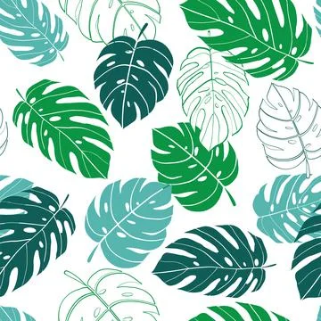Seamless vector pattern tropical monstera leaves, tropical plant background i Stock Illustration