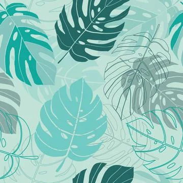 Seamless vector pattern tropical monstera leaves exotic plants, turquoise bac Stock Illustration
