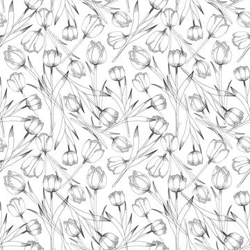 Seamless vector pattern with tulips outline on white background Stock Illustration