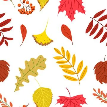 Seamless vector pattern of various autumn leaves Illustrazione stock