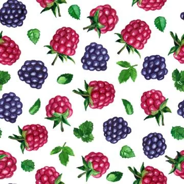 Seamless vector pattern with watercolor rasberries and blackberries on white Stock Illustration