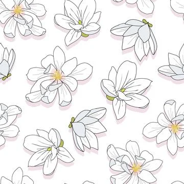 Seamless vector pattern white magnolia flowers illustration Stock Illustration