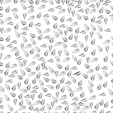 Seamless vector sunflower seeds pattern. Sketch sunflower seeds. Stock Illustration