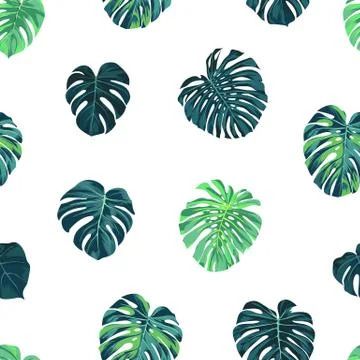 Seamless vector tropical botanical pattern with green monstera palm leaves Illustrazione stock