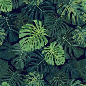 Seamless vector tropical pattern with green monstera palm leaves on dark Illustrazione stock
